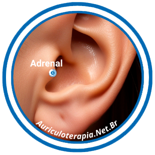 Ponto Adrenal