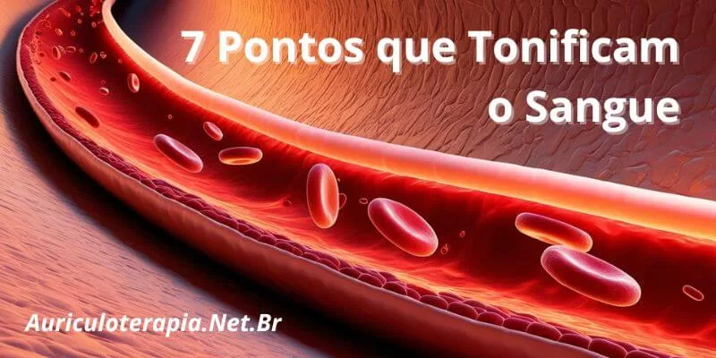 7 pontos auriculares que tonificam o Sangue