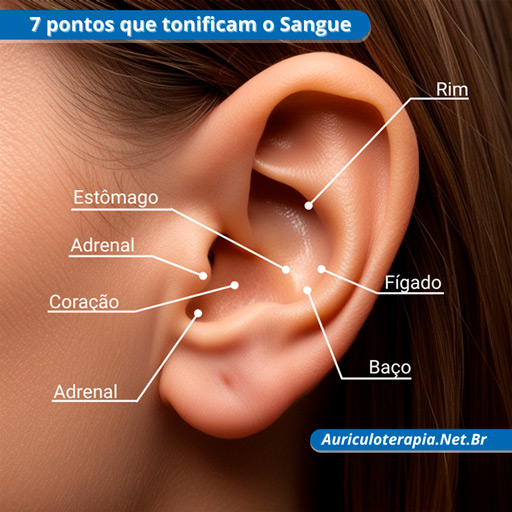 7 pontos auriculares que tonificam o sangue