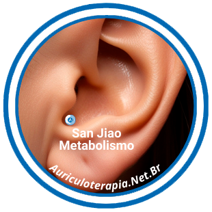 Ponto San Jiao - Metabolismo