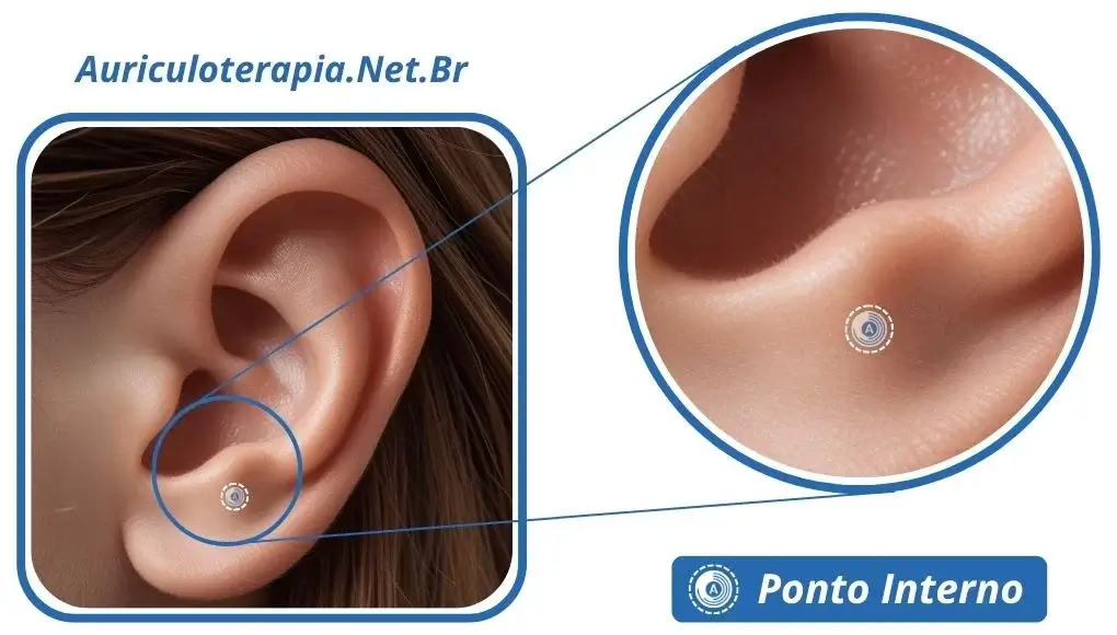 Ponto Tálamo