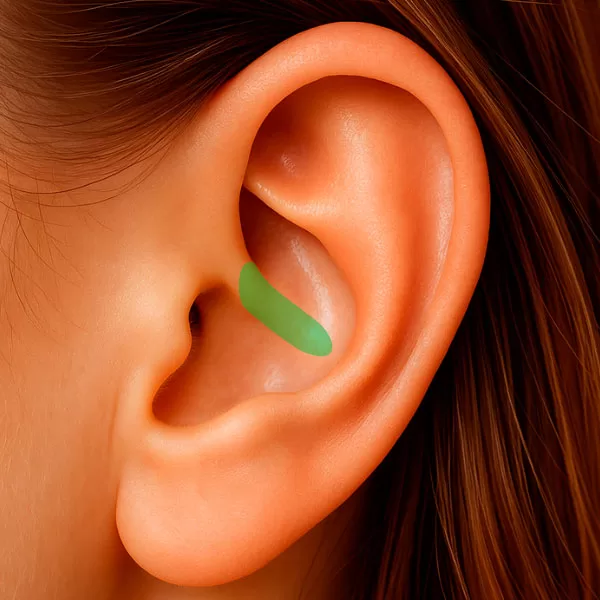 Região da Raiz da Hélix da orelha – região anatômica utilizada na auriculoterapia.