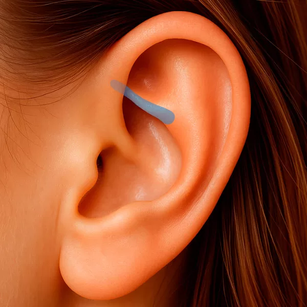 Região do Ramo Inferior da Anti-Hélix da orelha – região anatômica utilizada na auriculoterapia.