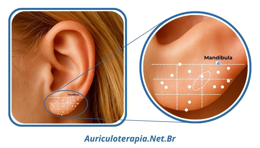 Ponto Mandúbula localizado no Lóbulo da orelha, utilizado na auriculoterapia para tratar dores na região da mandíbula.