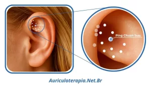 Ponto Ping Chuan Superior localizado na Fossa Triangular da orelha, utilizado na auriculoterapia para tratamentos de processos viróticos e diminuição da imunidade.