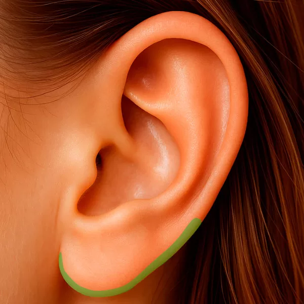 Região da Cauda da Hélix da orelha – região anatômica utilizada na auriculoterapia.